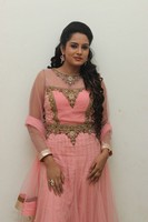 Himaja Photos at Shivam Audio Release